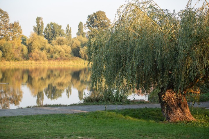 Photo 25 at 204 - 3264 Vanness Avenue, Collingwood VE, Vancouver East