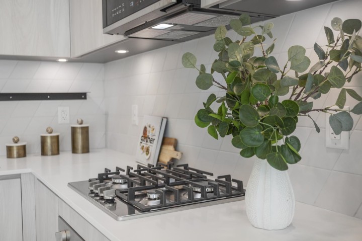 Photo 6 at 206 - 3264 Vanness Avenue, Collingwood VE, Vancouver East