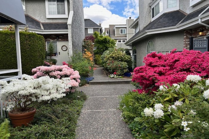 Photo 36 at 109 - 216 E 6th Street, Lower Lonsdale, North Vancouver