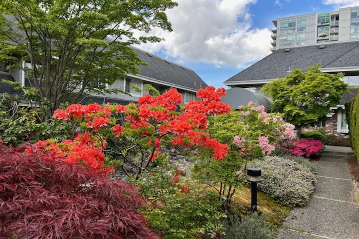 Photo 37 at 109 - 216 E 6th Street, Lower Lonsdale, North Vancouver