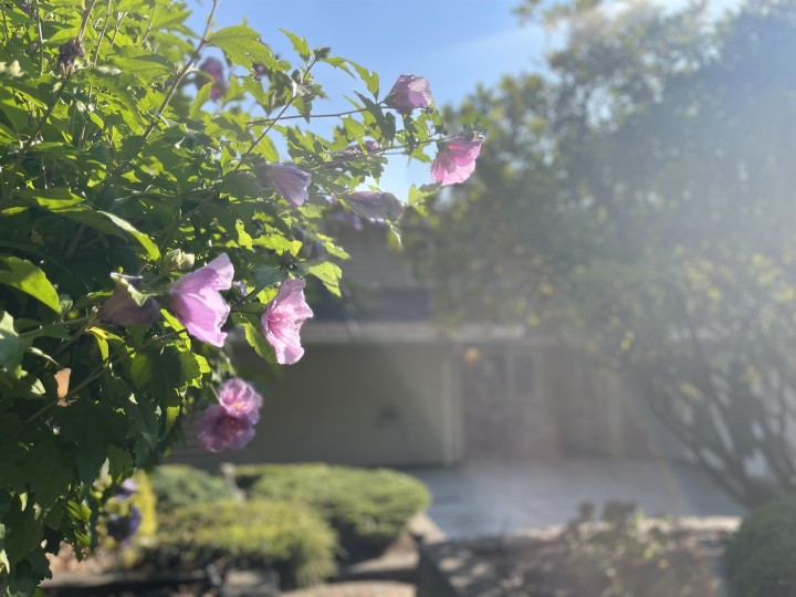 Photo 20 at 539 Newcroft Place, Cedardale, West Vancouver