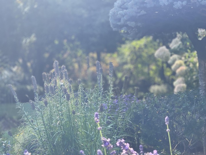 Photo 10 at 539 Newcroft Place, Cedardale, West Vancouver