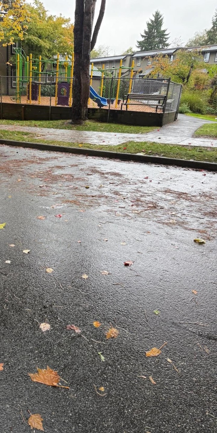 Photo 33 at 3380 Marquette Crescent, Champlain Heights, Vancouver East