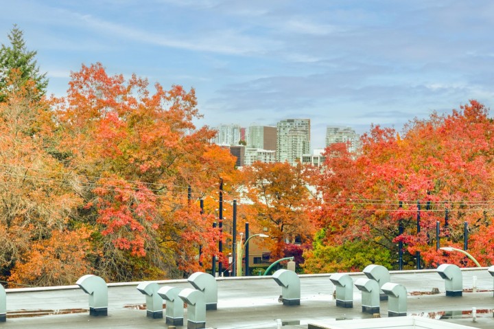 Photo 5 at 2222 Willow Street, Fairview VW, Vancouver West