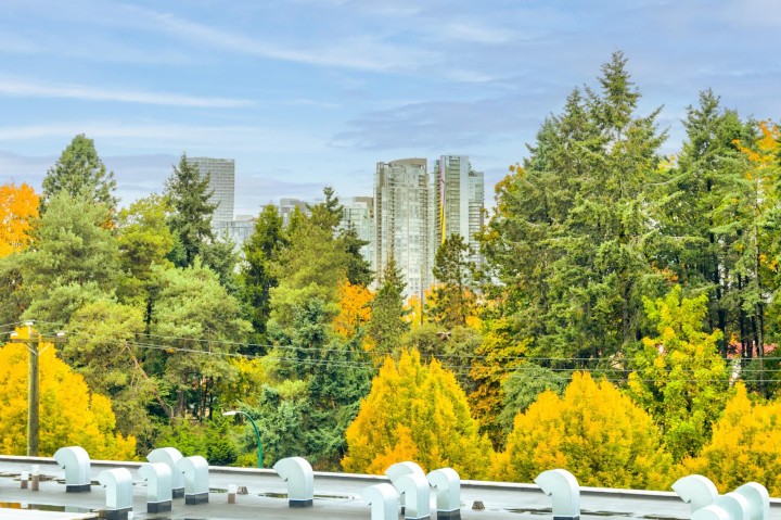 Photo 4 at 2222 Willow Street, Fairview VW, Vancouver West