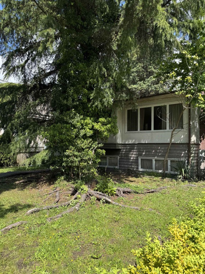 Photo 3 at 2511 Upland Drive, Fraserview VE, Vancouver East