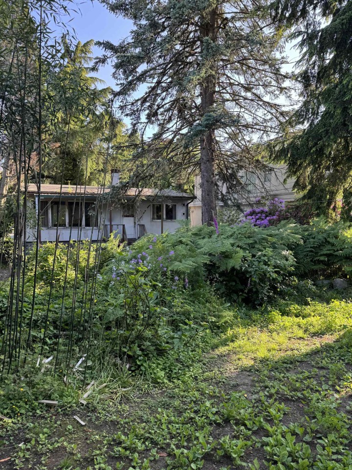 Photo 10 at 2511 Upland Drive, Fraserview VE, Vancouver East