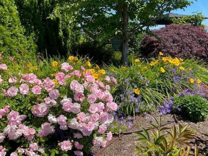 Photo 32 at 1402 - 181 W 1st Avenue, False Creek, Vancouver West