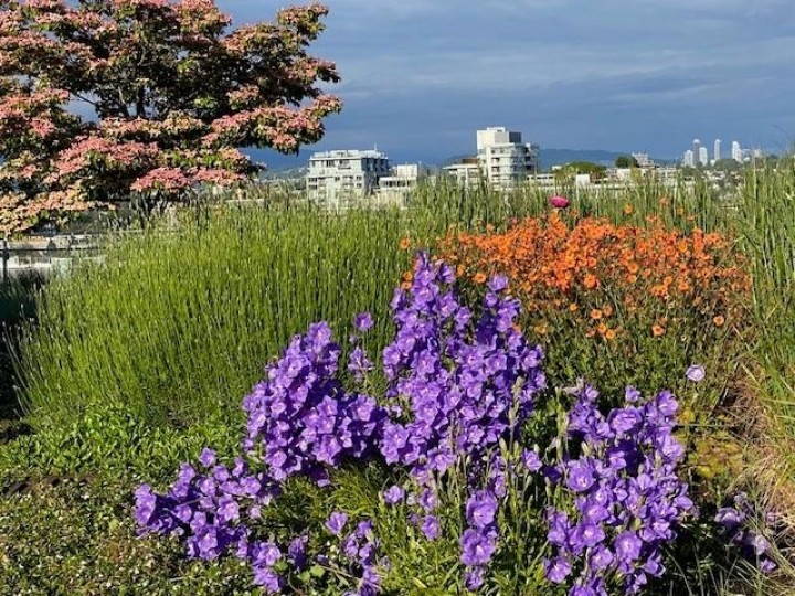 Photo 30 at 1402 - 181 W 1st Avenue, False Creek, Vancouver West