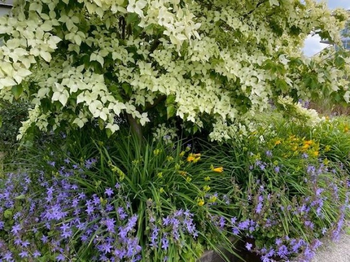 Photo 31 at 1402 - 181 W 1st Avenue, False Creek, Vancouver West