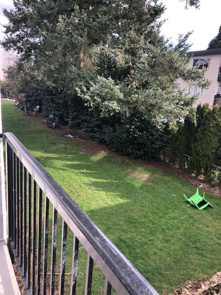 Photo 7 at 213 - 36 E 14 Avenue, Mount Pleasant VE, Vancouver East