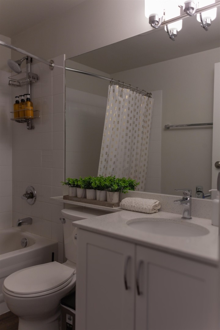 Photo 14 at 509 - 1249 Granville Street, Downtown VW, Vancouver West