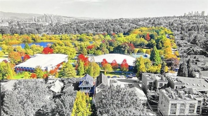 Photo 39 at 3381 Victoria Drive, Victoria VE, Vancouver East