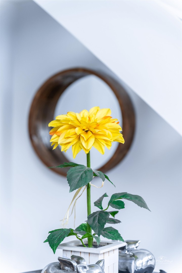 Photo 3 at 909 - 933 Seymour Street, Downtown VW, Vancouver West