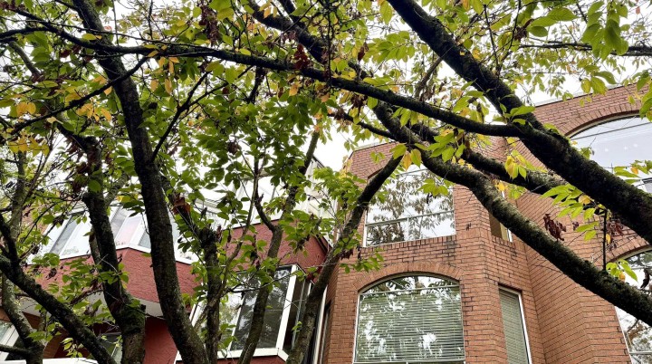 Photo 2 at 403 - 1010 Chilco Street, West End VW, Vancouver West