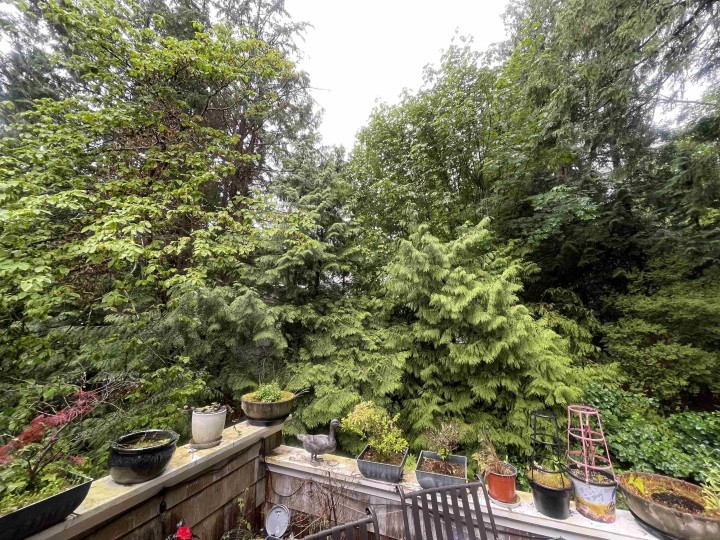 Photo 6 at 3937 Westridge Avenue, Bayridge, West Vancouver