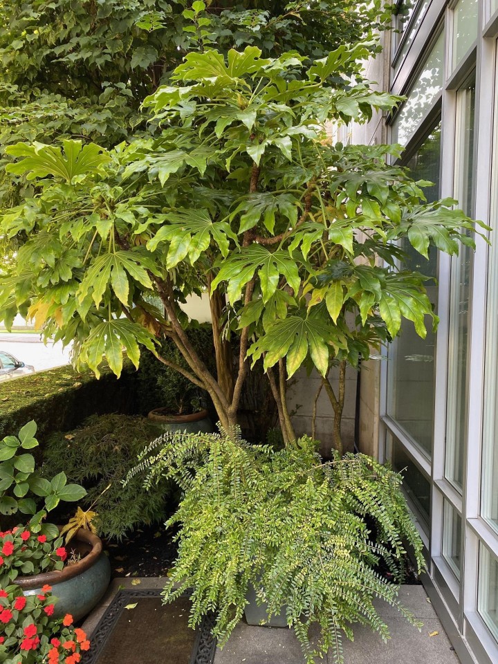 Photo 35 at 410 Beach Crescent, Yaletown, Vancouver West