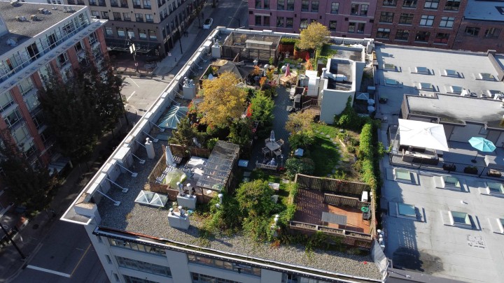 Photo 27 at 210 - 1178 Hamilton Street, Yaletown, Vancouver West