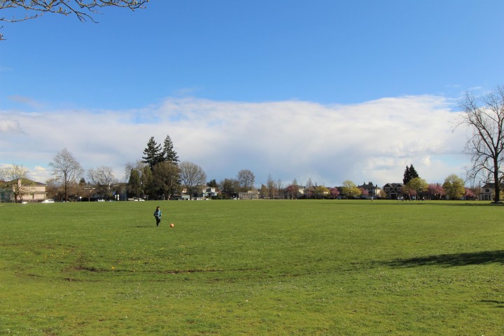 Photo 17 at 206 - 5733 Alberta Street, Oakridge VW, Vancouver West