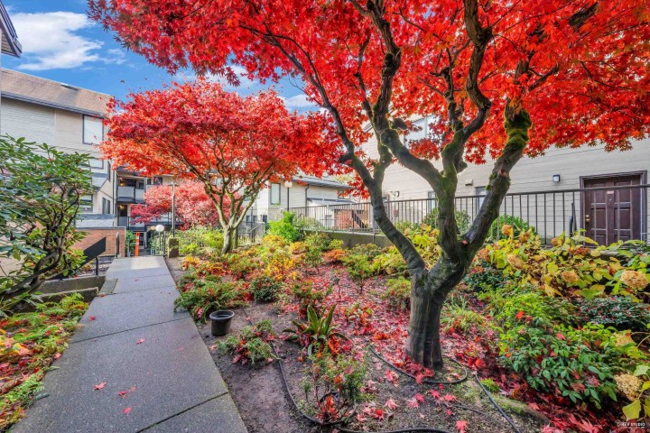 Photo 24 at 410 - 1363 Clyde Avenue, Ambleside, West Vancouver