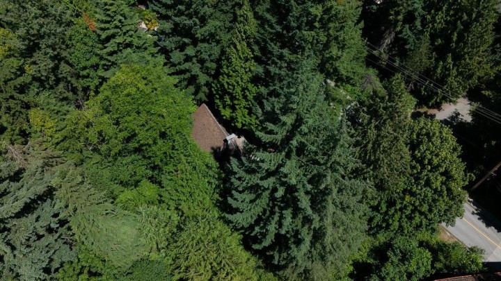 Photo 15 at 4402 Keith Road, Caulfeild, West Vancouver