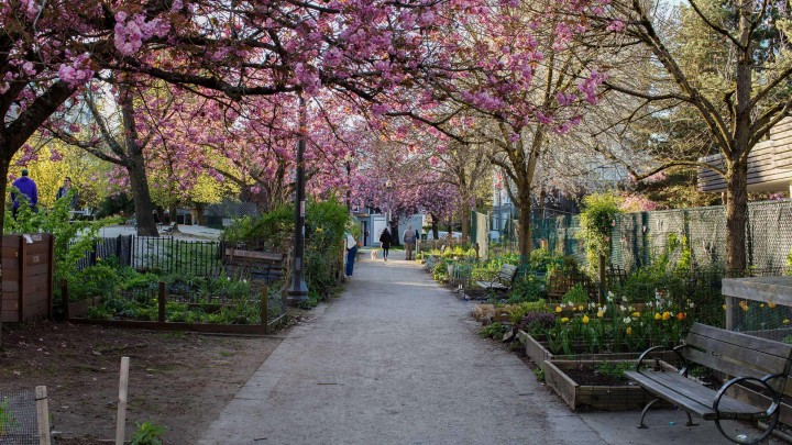 Photo 31 at 201 - 1535 Nelson Street, West End VW, Vancouver West