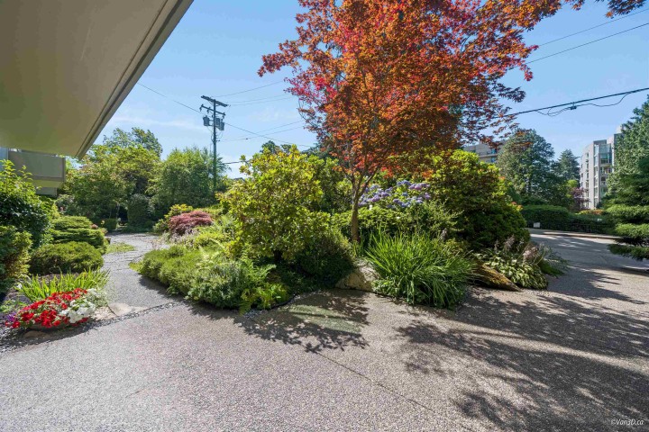 Photo 4 at 308 - 1425 Esquimalt Avenue, Ambleside, West Vancouver