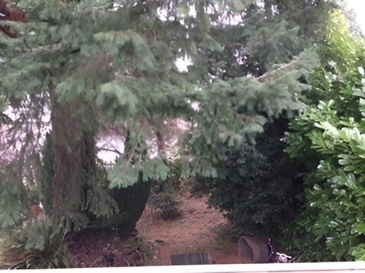 Photo 3 at 8479 Selkirk Street, Marpole, Vancouver West