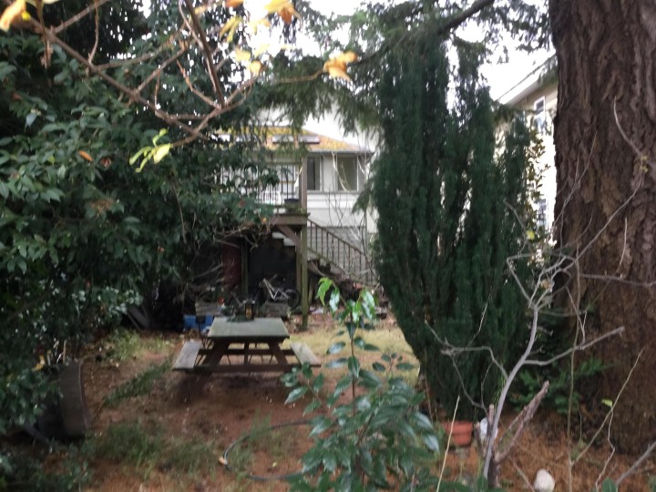 Photo 5 at 8479 Selkirk Street, Marpole, Vancouver West