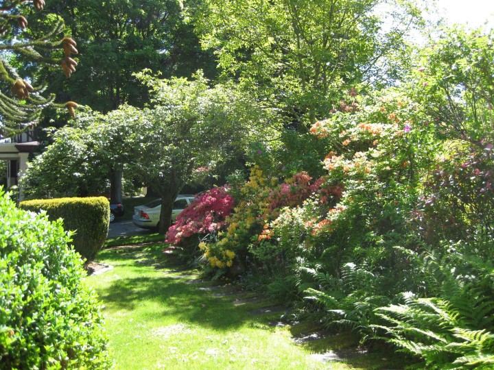 Photo 38 at 4825 Connaught Drive, Shaughnessy, Vancouver West