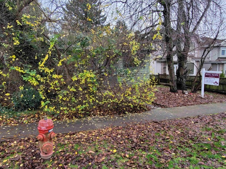 Photo 3 at 8468 Hudson Street, Marpole, Vancouver West