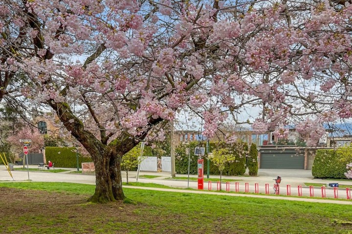 Photo 32 at 3274 W 1st Avenue, Kitsilano, Vancouver West