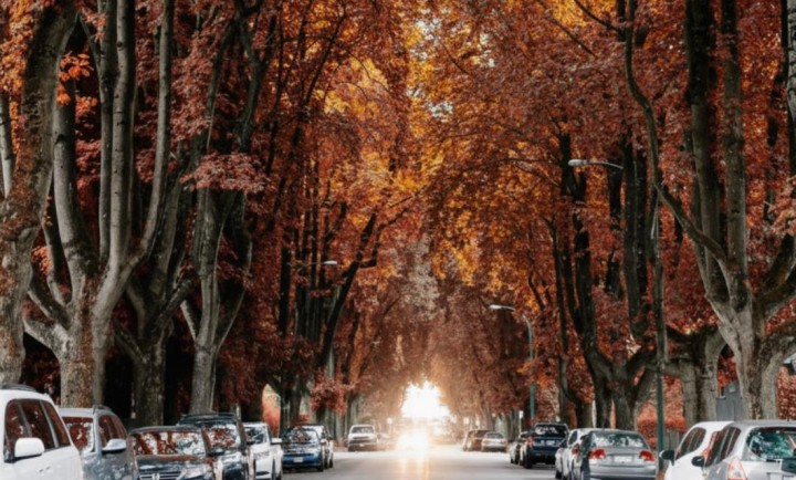 Photo 40 at 101 - 3668 W 10th Avenue, Kitsilano, Vancouver West