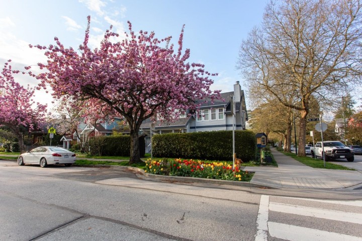 Photo 27 at 103 W 15th Avenue, Mount Pleasant VW, Vancouver West