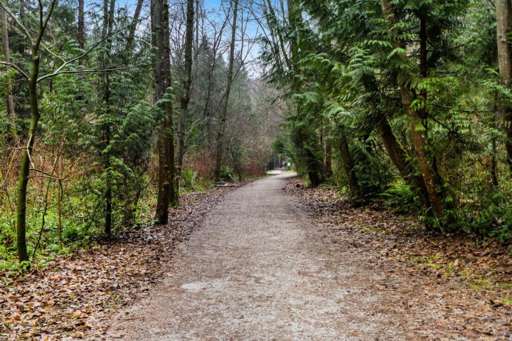 Photo 38 at 708 - 5380 Crooked Branch Road, University VW, Vancouver West