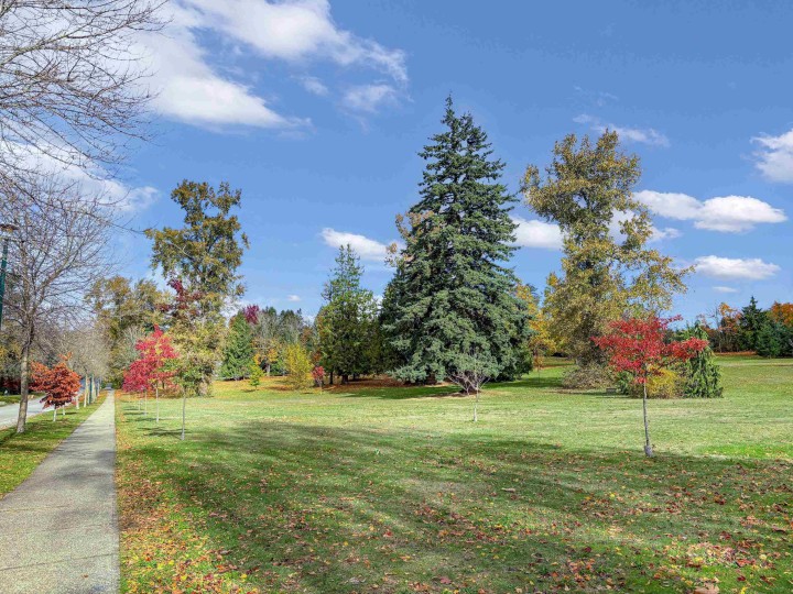 Photo 19 at 8295 Angus Drive, S.W. Marine, Vancouver West