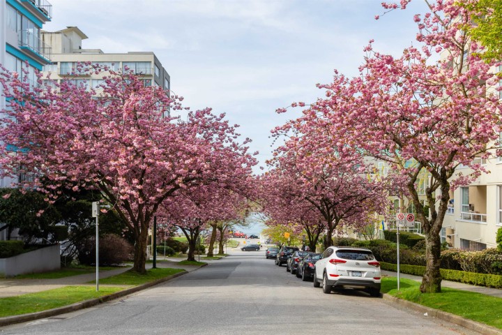 Photo 24 at 401 - 1406 Harwood Street, West End VW, Vancouver West