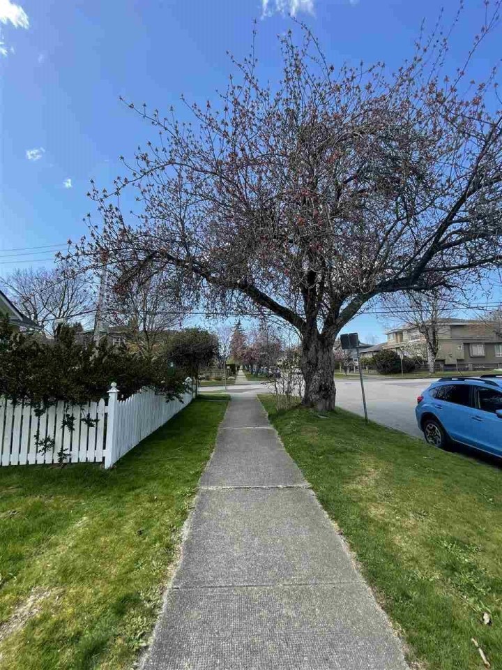 Photo 15 at 88 W 48th Avenue, Oakridge VW, Vancouver West