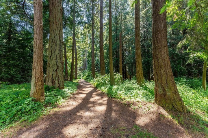 Photo 25 at 406 - 6328 Larkin Drive, University VW, Vancouver West