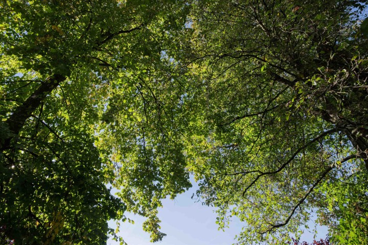 Photo 33 at 1577 W 57th Avenue, South Granville, Vancouver West