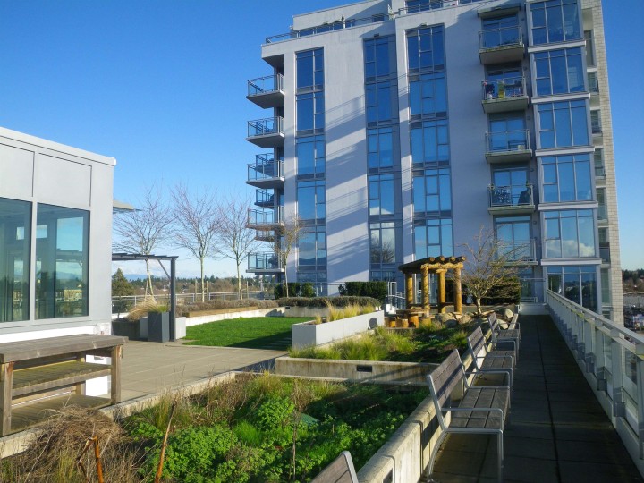 Photo 21 at 316 - 2435 Kingsway, Collingwood VE, Vancouver East