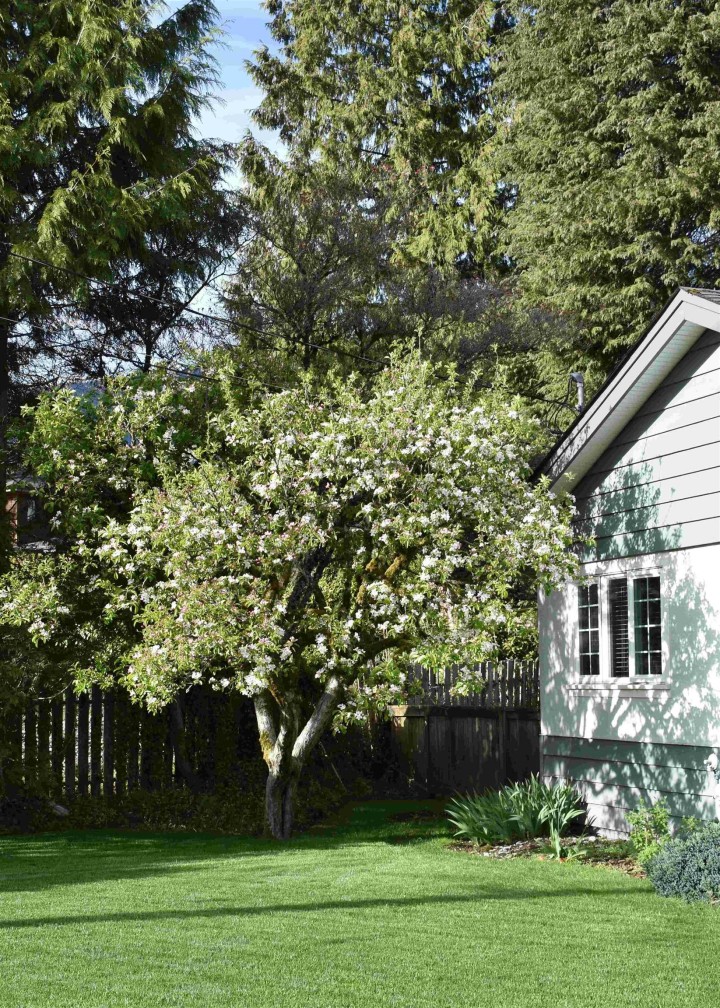 Photo 21 at 3474 Greentree Lane, Edgemont, North Vancouver