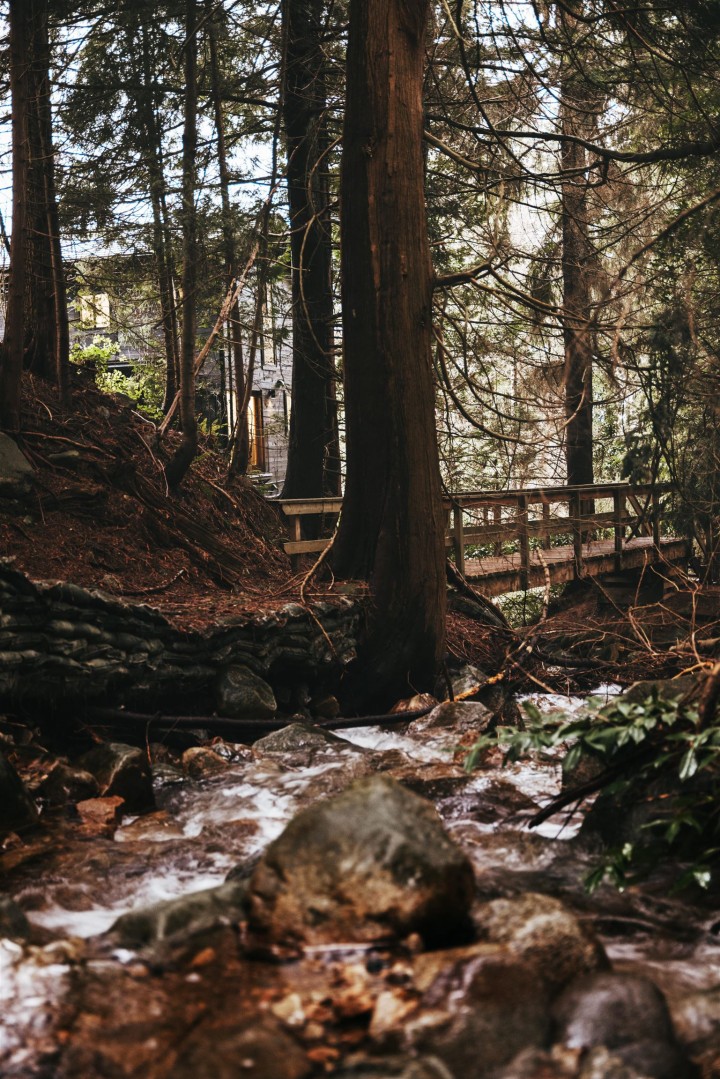 Photo 35 at 328 Monteray Avenue, Upper Delbrook, North Vancouver