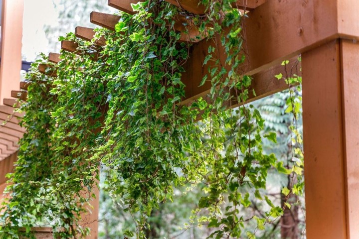 Photo 20 at 106 - 3125 Capilano Crescent, Capilano NV, North Vancouver