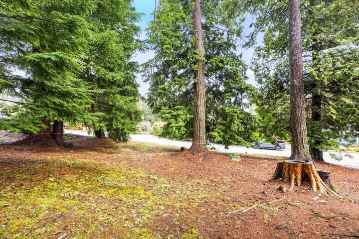 Photo 9 at LOT 2 - 3091 Royal Avenue, Princess Park, North Vancouver