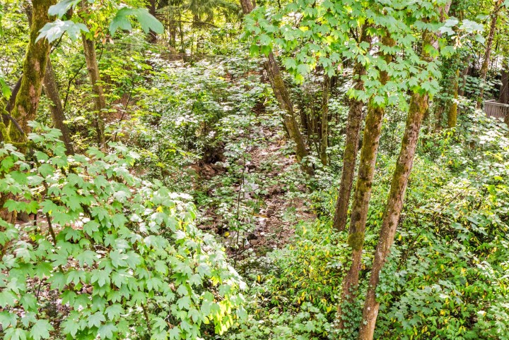 Photo 6 at 3192 Mountain Highway, Lynn Valley, North Vancouver