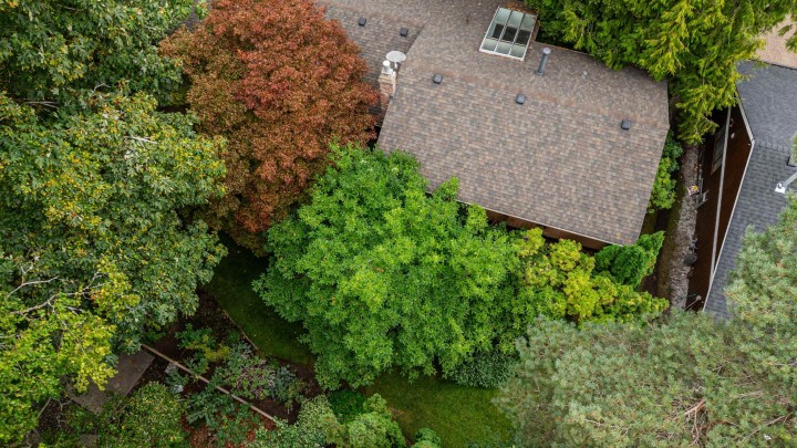 Photo 39 at 4262 Yuculta Crescent, University VW, Vancouver West