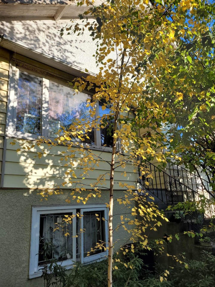 Photo 9 at 6084 Chester Street, Fraser VE, Vancouver East