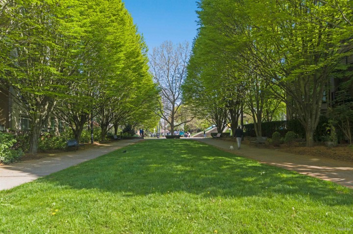 Photo 5 at 206 - 2175 Salal Drive, Kitsilano, Vancouver West