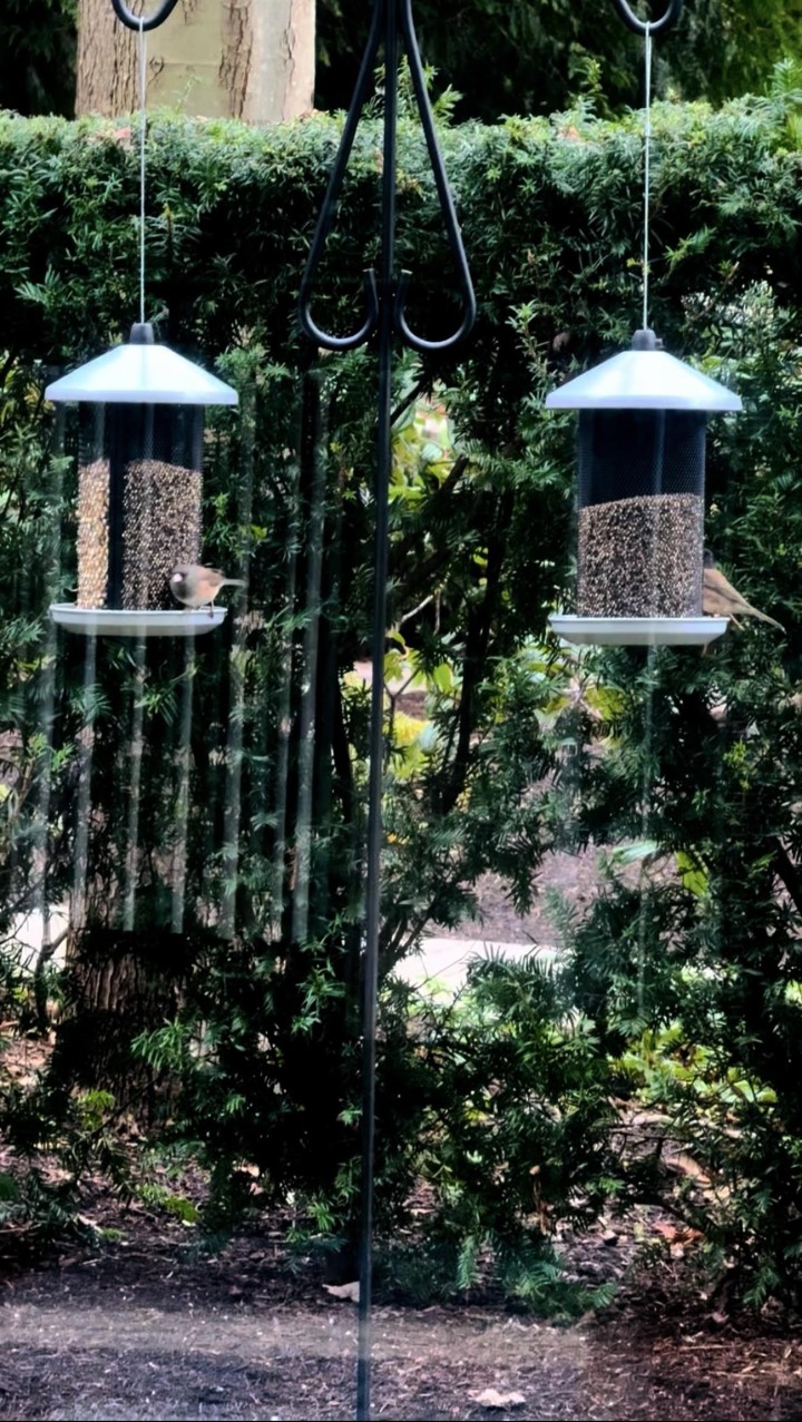 Photo 5 at 110 - 5728 Berton Avenue, University VW, Vancouver West